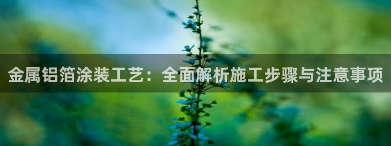美狮美高梅商场
