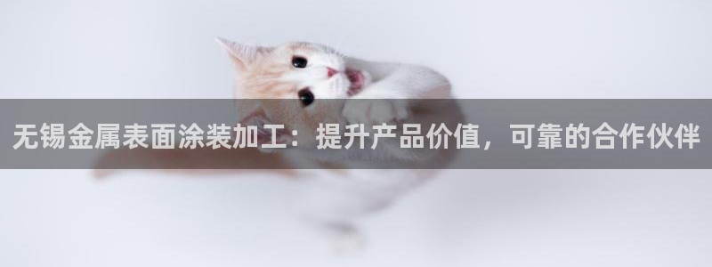美高梅酒店老板是何超琼