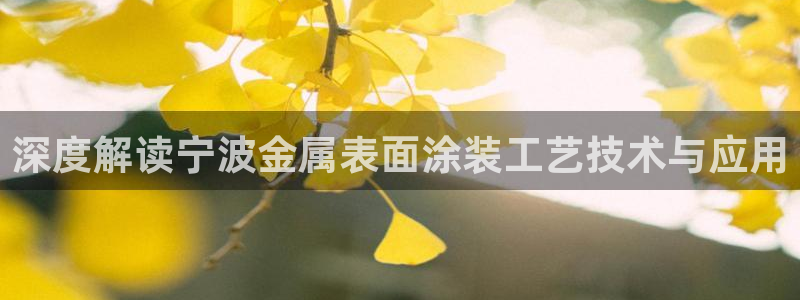 美高梅筹码5000跟100000的区别