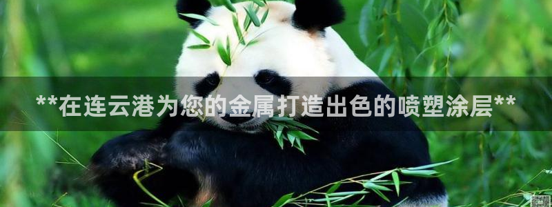 美高梅的老板是谁?
