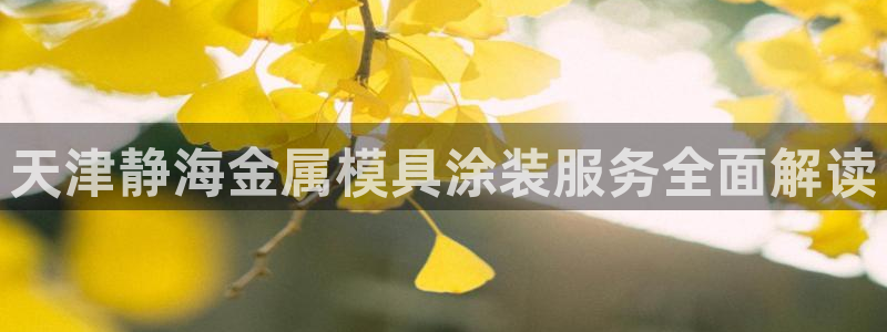 美高梅会员卡