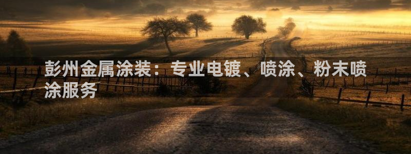 美高梅母公司