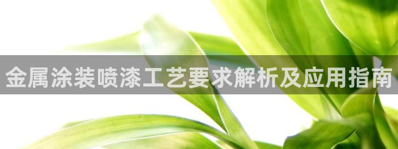 美高梅偶遇何超琼