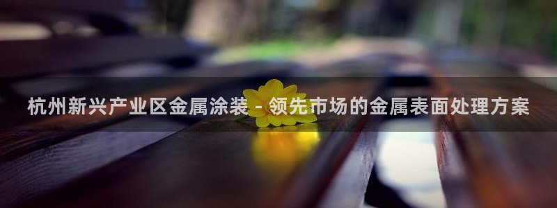 美狮美高梅酒店购物