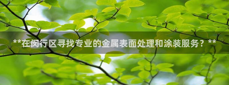 美高梅酒店到南海观音