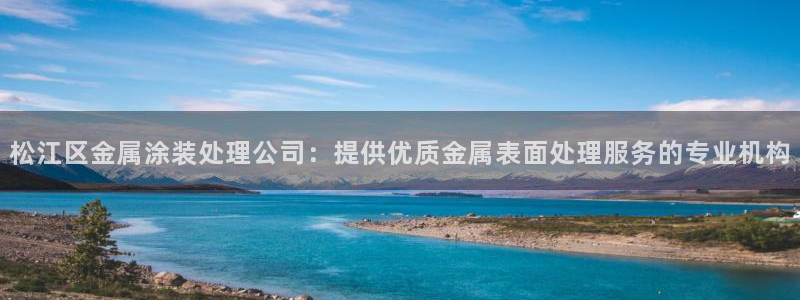美高梅美幻酒店：松江区金属涂装处理公司：
