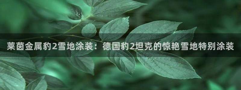 美高梅股票行情